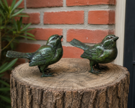 SETJE MUSSEN / GROEN