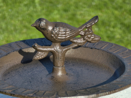 VOGELBAD OP VOET