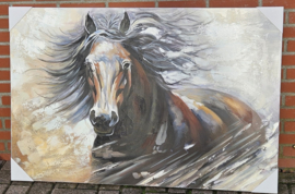 CANVAS SCHILDERIJ / PAARD