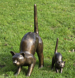 GROTE POES DIE SCHRIKT