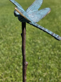 BRONZEN LIBELLE