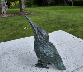 IJSVOGEL