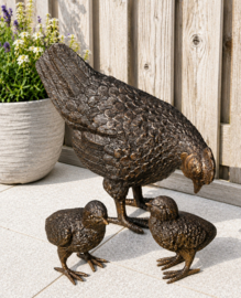 HEN MET KUIKENS / KIP