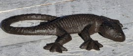 GEKKO / HAGEDIS