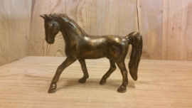 PAARD