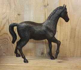 PAARD