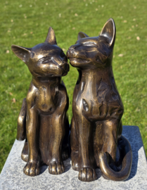 POEZEN GEVEN ELKAAR KOPJES