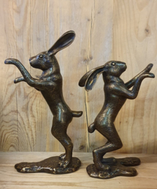 2 HAZEN / RAMMELEN