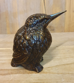 IJSVOGEL