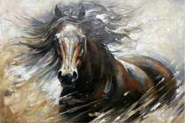 CANVAS SCHILDERIJ / PAARD