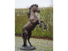 STEIGEREND PAARD