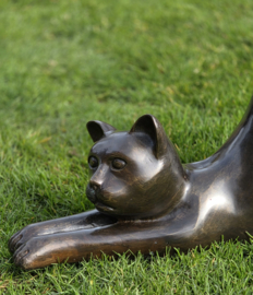 GROTE STREKKENDE POES