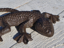 GEKKO / HAGEDIS