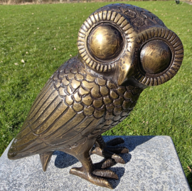 UIL MINERVA