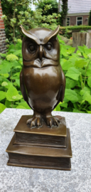 WIJZE UIL