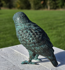 IJSVOGEL