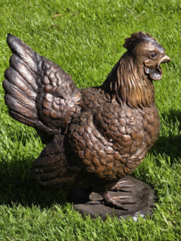 HAAN EN HEN / KIPPEN