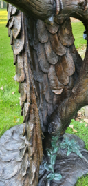 PAUWEN