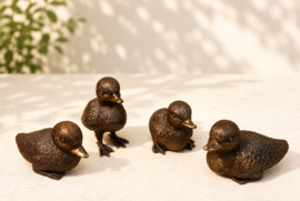 5 EENDJES