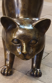 GROTE POES DIE SCHRIKT