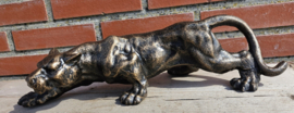 PANTER
