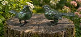 SETJE MUSSEN / GROEN