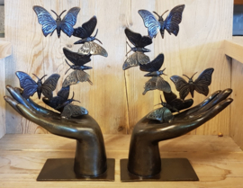 SET  /  2 HANDEN MET VLINDERS / LINKER EN RECHTERHAND