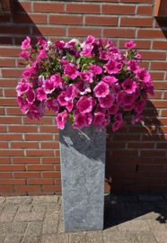 SOKKEL VAN NATUURSTEEN 25 X25 X 70