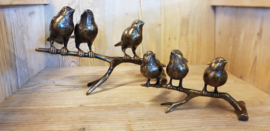 3 VOGELS OP TAK