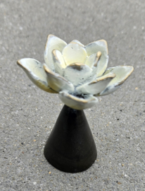 URN / LOTUS BLOEM