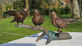 3 MUSSEN OP TAK