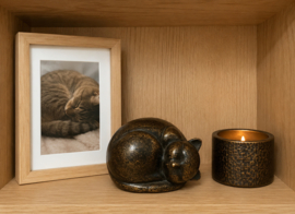 SLAPENDE KAT / URN