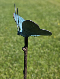 BRONZEN VLINDER