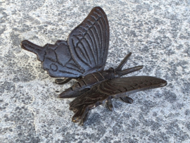 VLINDER / 5 CM BREED
