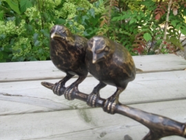 3 VOGELS OP TAK