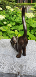 POES STREKT