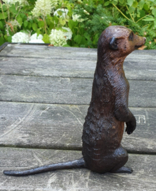 STOKSTAARTJE / ZITTEND