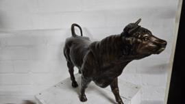 STIER