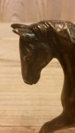 PAARD