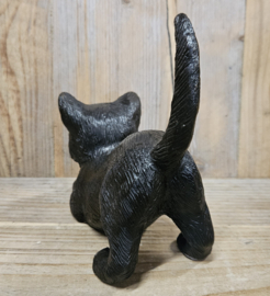 NIEUWGIERIGE KAT