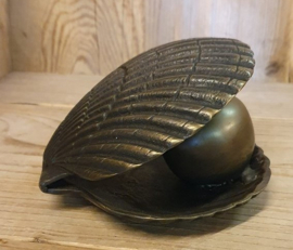 MINI URN SCHELP MET PAREL