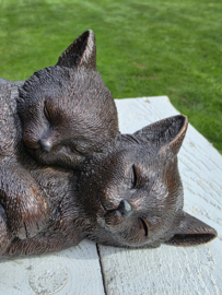2 SLAPENDE POEZEN / KITTENS