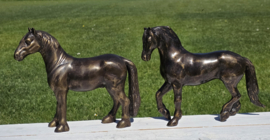 FRIES PAARD