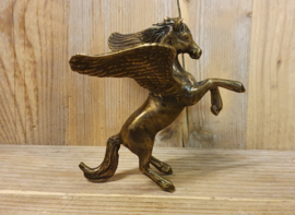 PEGASUS