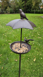 VOGELSCHAAL MET DAK