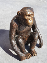 CHIMPANSEE