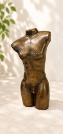TORSO MAN