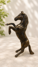 STEIGEREND PAARD