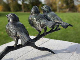 3 VOGELS OP TAK / GROEN