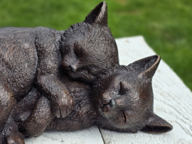 2 SLAPENDE POEZEN / KITTENS